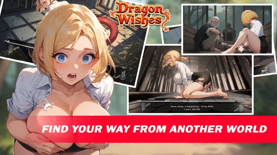 Dragon Wishes Ver.011 by Dragon Wishes Porn Game