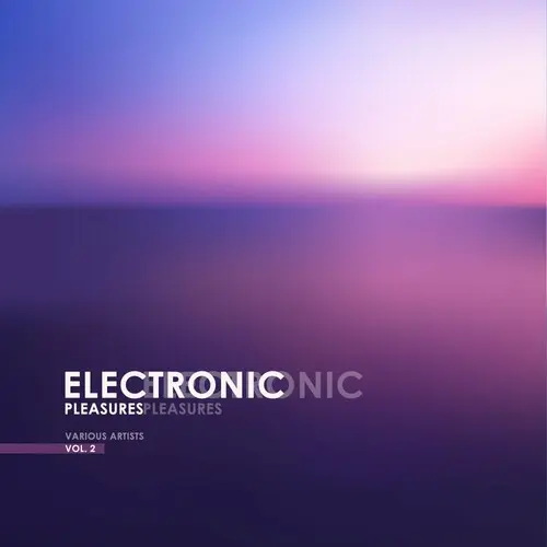 Electronic Pleasures Vol. 2 (2025) FLAC