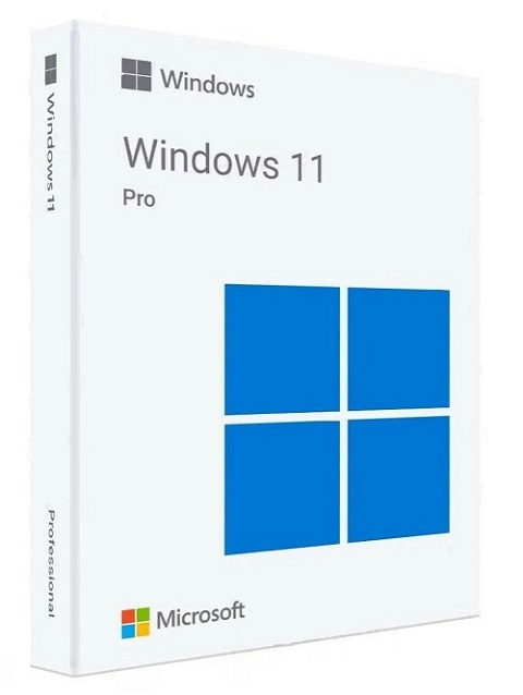 Windows 11 PRO