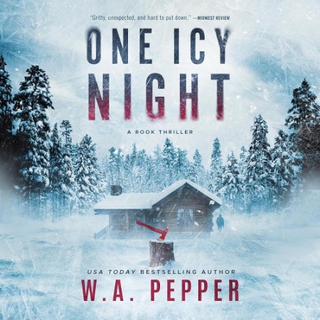 One Icy Night: A Rook Thriller - [AUDIOBOOK]