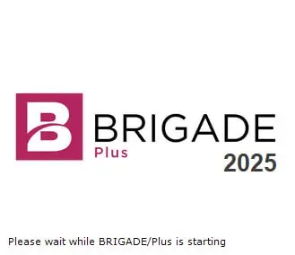 Technia BRIGADE Plus 2025.1 (x64)