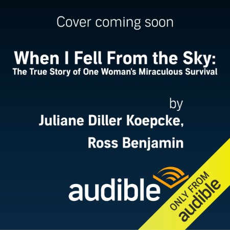 When I Fell From the Sky - [AUDIOBOOK]