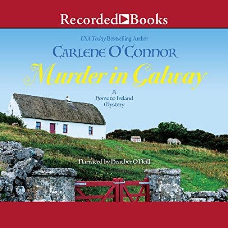 Murder in Galway (Home to Ireland Mystery #1) - [AUDIOBOOK]