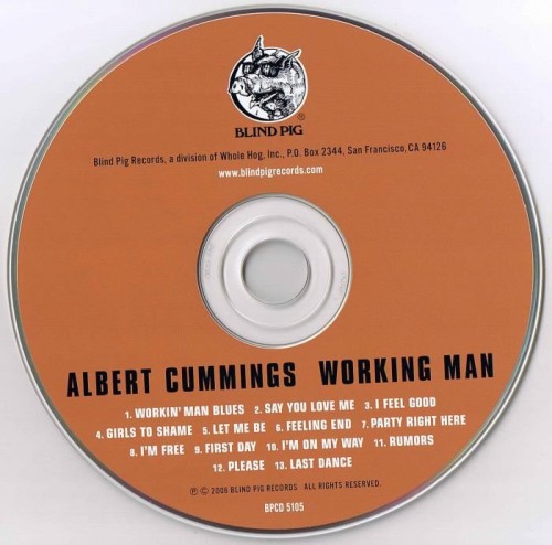 Albert Cummings - Working Man (2006) Lossless