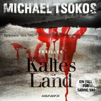 Michael Tsokos - Kaltes Land ein Fall für Sabine Yao(ungekürzt)​