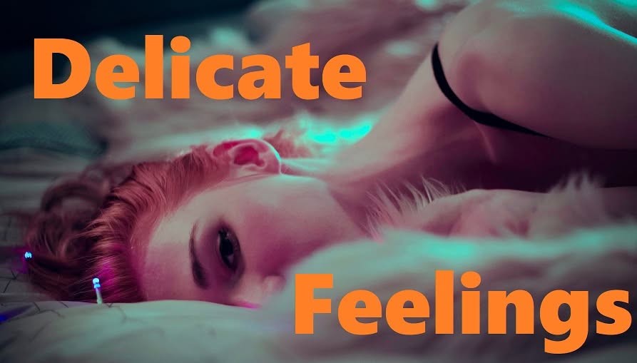 SinRise - Delicate Feelings [v0.2 Demo] Porn Game