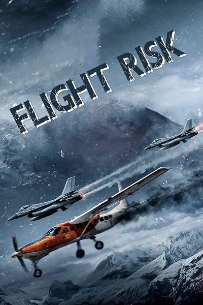 Flight.Risk.2025.German.DL.5.1.Mic.Dubbed.AC3.1080p.WEB.h264-CMN