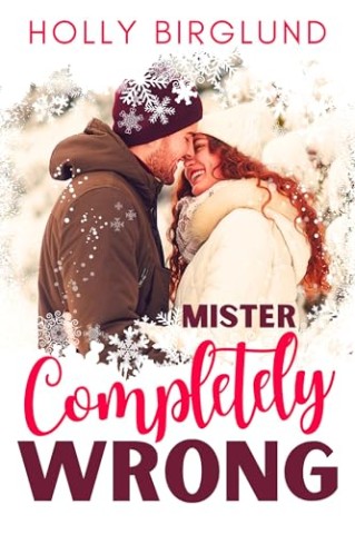 Cover: Holly Birglund - Mister Completely Wrong
