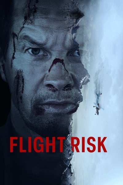 Flight Risk (2025) 1080p WEBRip x265 10bit 5 1 YIFY
