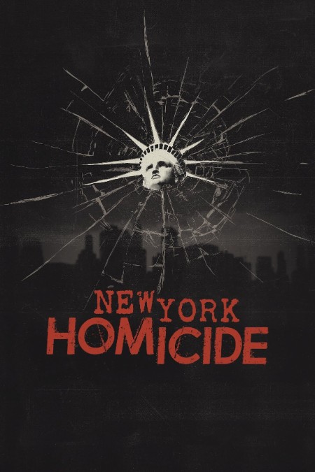 New York Homicide S03E03 1080p WEBRip x264-BAE