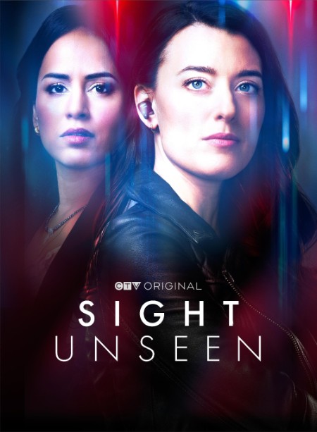 Sight Unseen (2024) S02E05 720p HEVC x265-MeGusta