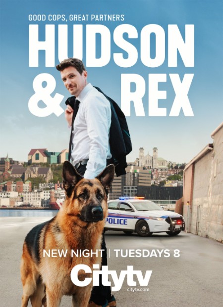 Hudson and Rex S07E06 Bee-Deviled 1080p HEVC x265-MeGusta