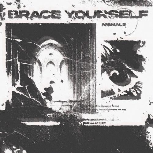 Brace Yourself - Discography