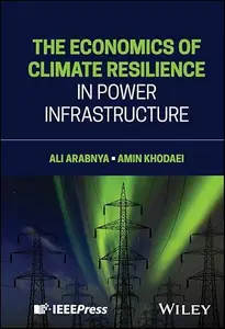 The Economics of Climate Resilience in Power Infrastructure