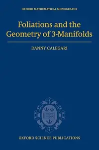 Foliations and the Geometry of 3–Manifolds