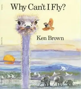 Why Can't I Fly