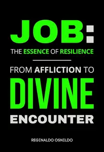 Job The Essence of Resilience – From Affliction to Divine Encounter