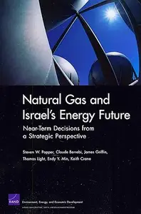 Natural Gas and Israel's Energy Future Near–Term Decisions from a Strategic Perspective