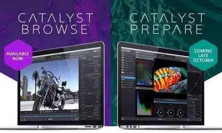 Sony Catalyst Browse  Prepare Suite 2025.1 (x64)