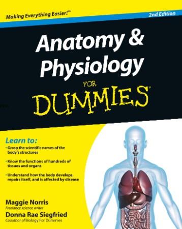 Anatomy and Physiology For Dummies - Norris, Maggie,Siegfried, Donna Rae