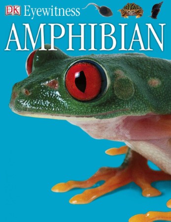 Amphibian - Barry Clarke, Geoff Brightling, Frank Greenaway