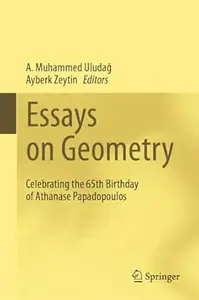 Essays on Geometry