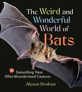 The Weird and Wonderful World of Bats Demystifying These Often–Misunderstood Creatures