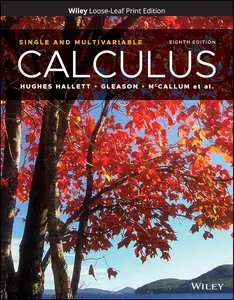 Calculus Single and Multivariable