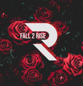 Fall 2 Rise - Discography