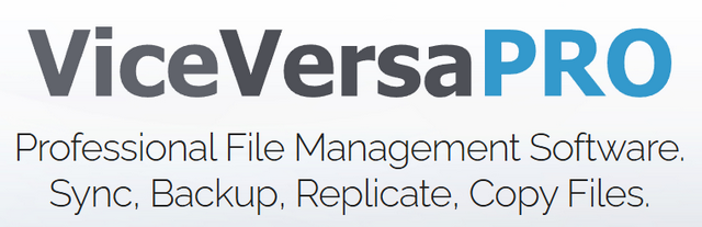 ViceVersa Pro 6