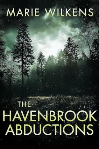 Cover: Marie Wilkens - The Havenbrook Abductions