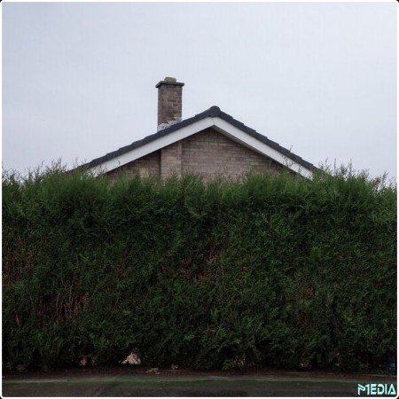 The 1975 - Still    At Their Very Best (Live From The AO Arena Manchester 17 02 24) (2025) Mp3 32...