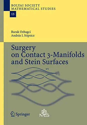 Surgery on Contact 3–Manifolds and Stein Surfaces