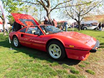 Ferrari 308 GTS Walk Around