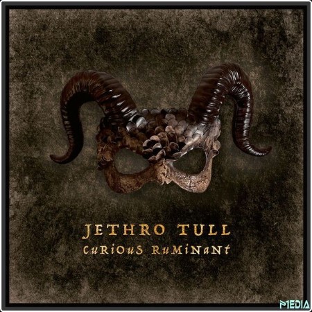 Jethro Tull - Curious Ruminant (2025) Mp3 320kbps