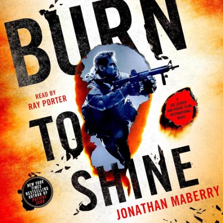 Burn to Shine - [AUDIOBOOK]