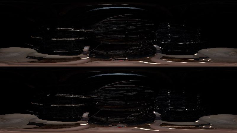 Lesdias VR Video Pack / Lesdias сборник VR анимаций