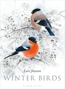 Winter Birds