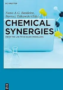 Chemical Synergies From the Lab to In Silico Modelling