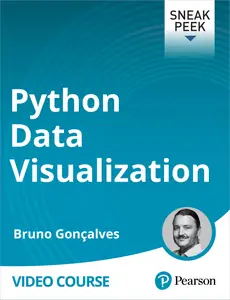 Python Data Visualization Create impactful visuals, animations and dashboards