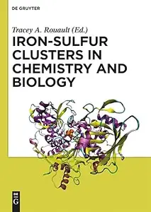 Iron–Sulfur Clusters in Chemistry and Biology