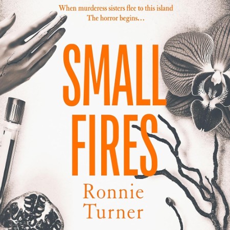 Small Fires - [AUDIOBOOK]