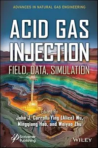 Acid Gas Injection Field, Data, Simulation