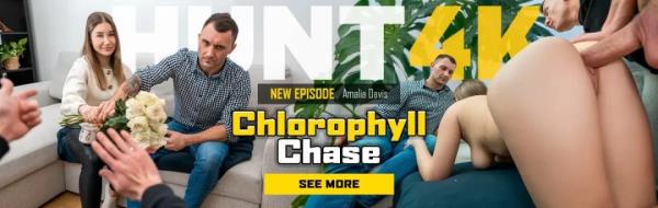 Amalia Davis - Chlorophyll Chase  Watch XXX Online FullHD