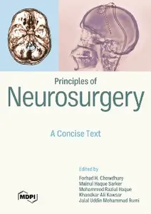 Principles of Neurosurgery A Concise Text