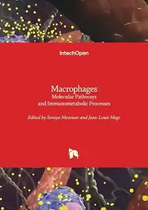 Macrophages Molecular Pathways and Immunometabolic Processes