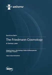 The Friedmann Cosmology A Century Later