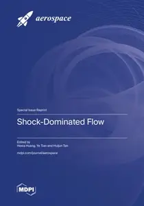 Shock–Dominated Flow