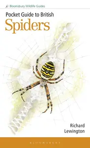 Pocket Guide to British Spiders (Bloomsbury Wildlife Guides)