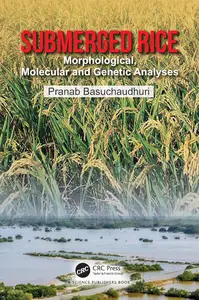 Submerged Rice Morphological, Molecular and Genetic Analyses